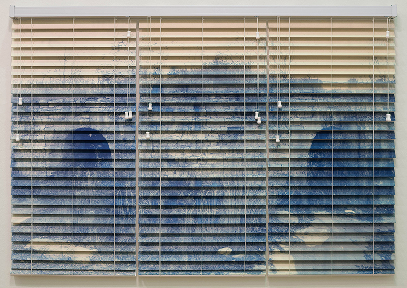 hannah skoonberg window blinds